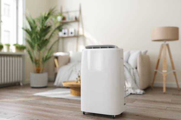 Best HVAC air duct cleaning  in Jenison, MI